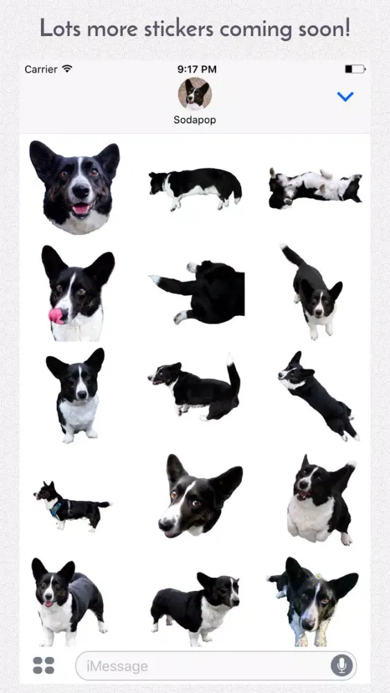 Sodapop the Corgi Stickers Ekran Görüntüleri