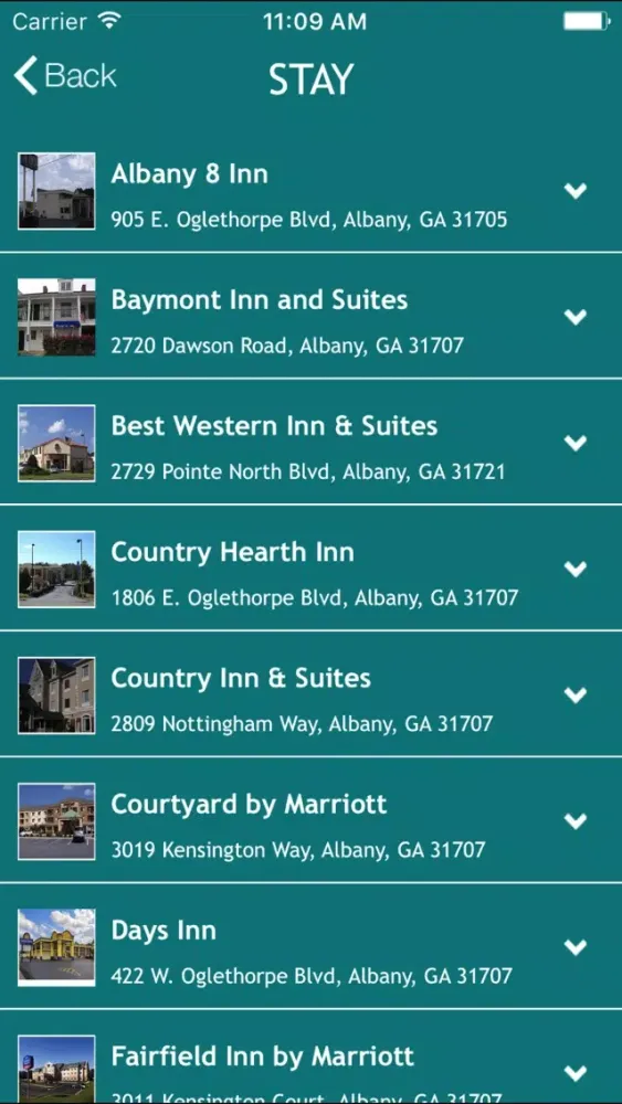 تصاویر Visit Albany