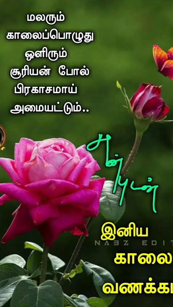 Captures d'écran de Tamil Morning Wishes