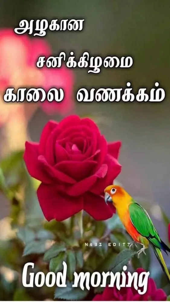 Captures d'écran de Tamil Morning Wishes