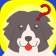 Dogs Retention Game - Joyful Bark For Pooch and Puppies Admirers