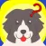 Dogs Retention Game - Joyful Bark For Pooch and Puppies Admirers