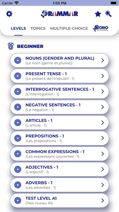 FRENCH GRAMMAR・Lessons & Tests Ekran Görüntüleri