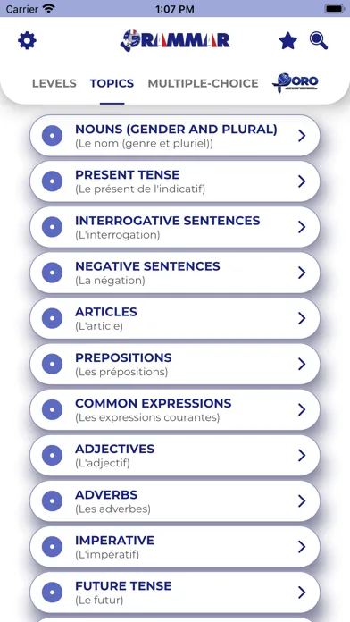 FRENCH GRAMMAR・Lessons & Tests Ekran Görüntüleri