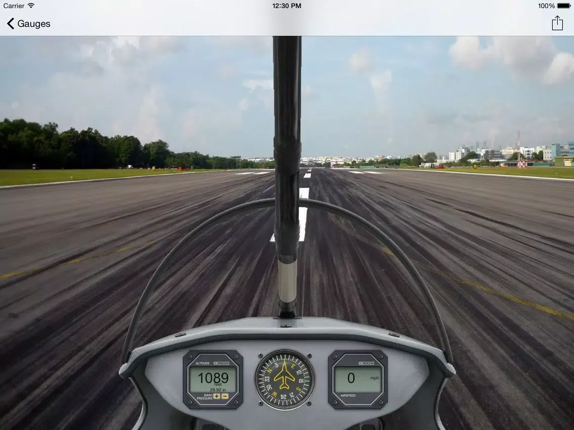 FSX Air Creation Trike Ultralight iPad  スクリーンショット
