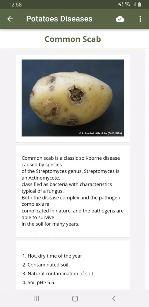 Capturas de pantalla de Potatoes SA