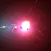 Flightlight Caterpillar Focus Pocus
