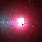 Flightlight Caterpillar Focus Pocus