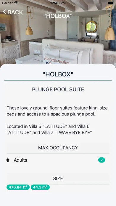Tangkapan layar Naay Boutique Hotel Holbox
