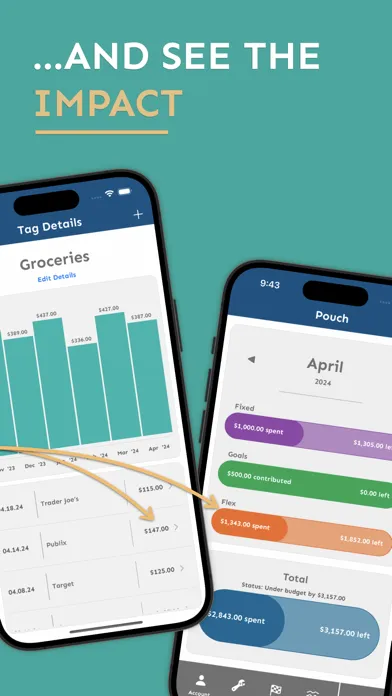 Pouch: Flexible Budgeting应用截图