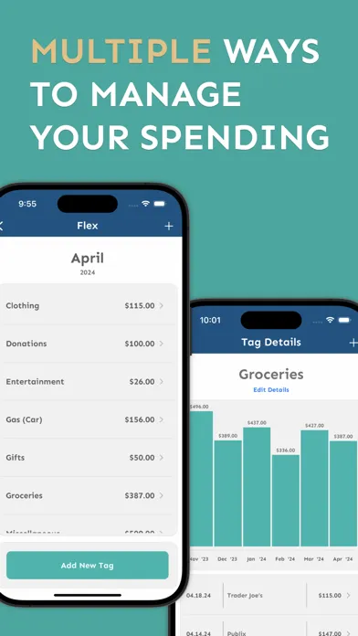 Pouch: Flexible Budgeting应用截图