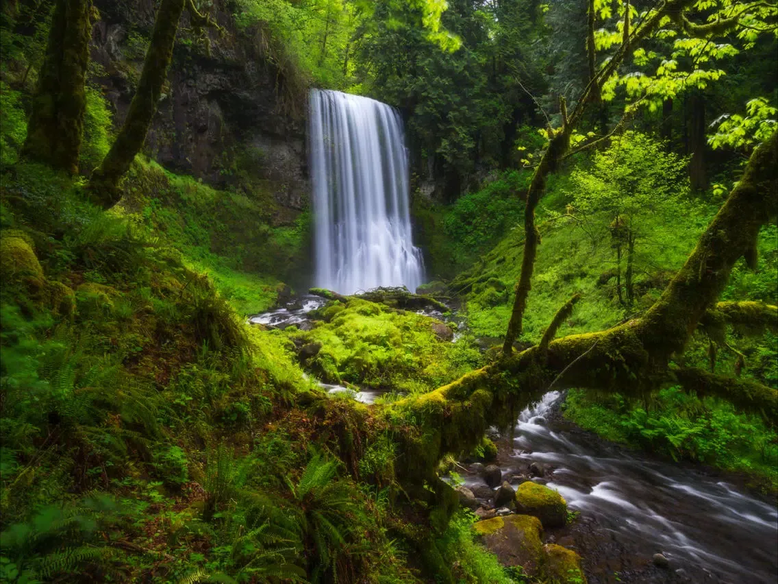 Zrzuty ekranu Tranquility-Natural Relaxation iPad 
