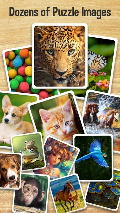 Captures d'écran de Animal Puzzle, Magic Blocks