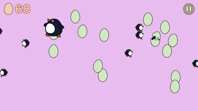 تصاویر Happy chickens - Lay eggs