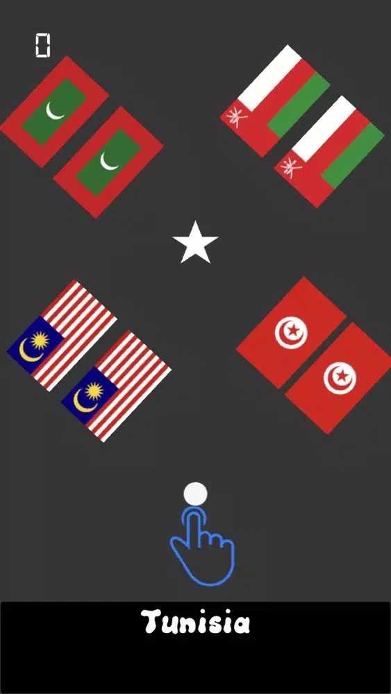 Flag Switch Screenshots