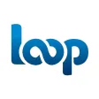 Pragmatic Loop Pragmatic Loop