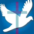 The Praise Report App
