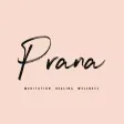 Prana Healing and Wellness