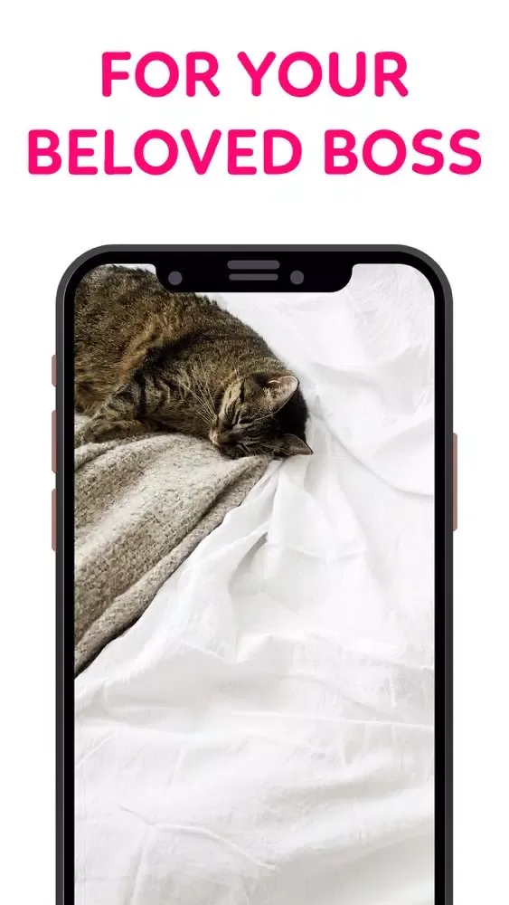Capturas de pantalla de MeowBoss - Cat Massage