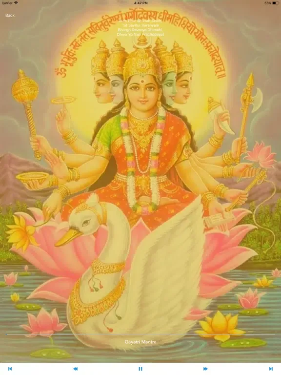 Captures d'écran de Om - Hindu Mantras and Bhajans iPad 