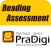 Reading Assessment