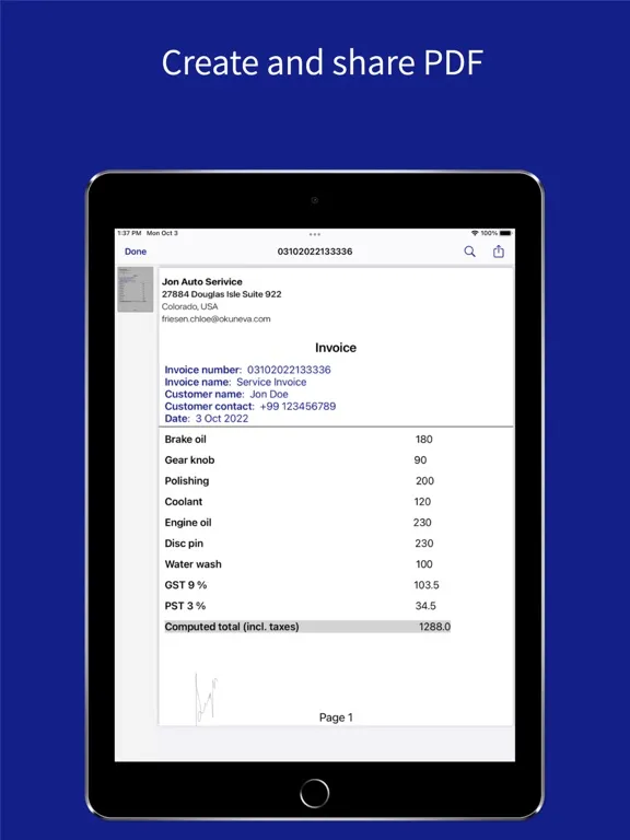 Zrzuty ekranu MS Excel, PDF Invoices & Bills iPad 