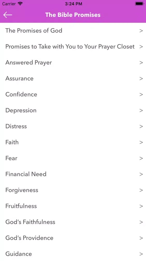 Скриншоты Bible Promises and Prayer