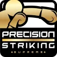 Precision Boxing Coach Pro