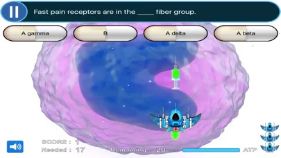Neurology Rotation & Clinical Gross Neuroanatomy Review Game LITE (SCRUB WARS) スクリーンショット