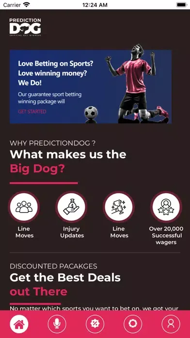 صور Prediction Dog Sports