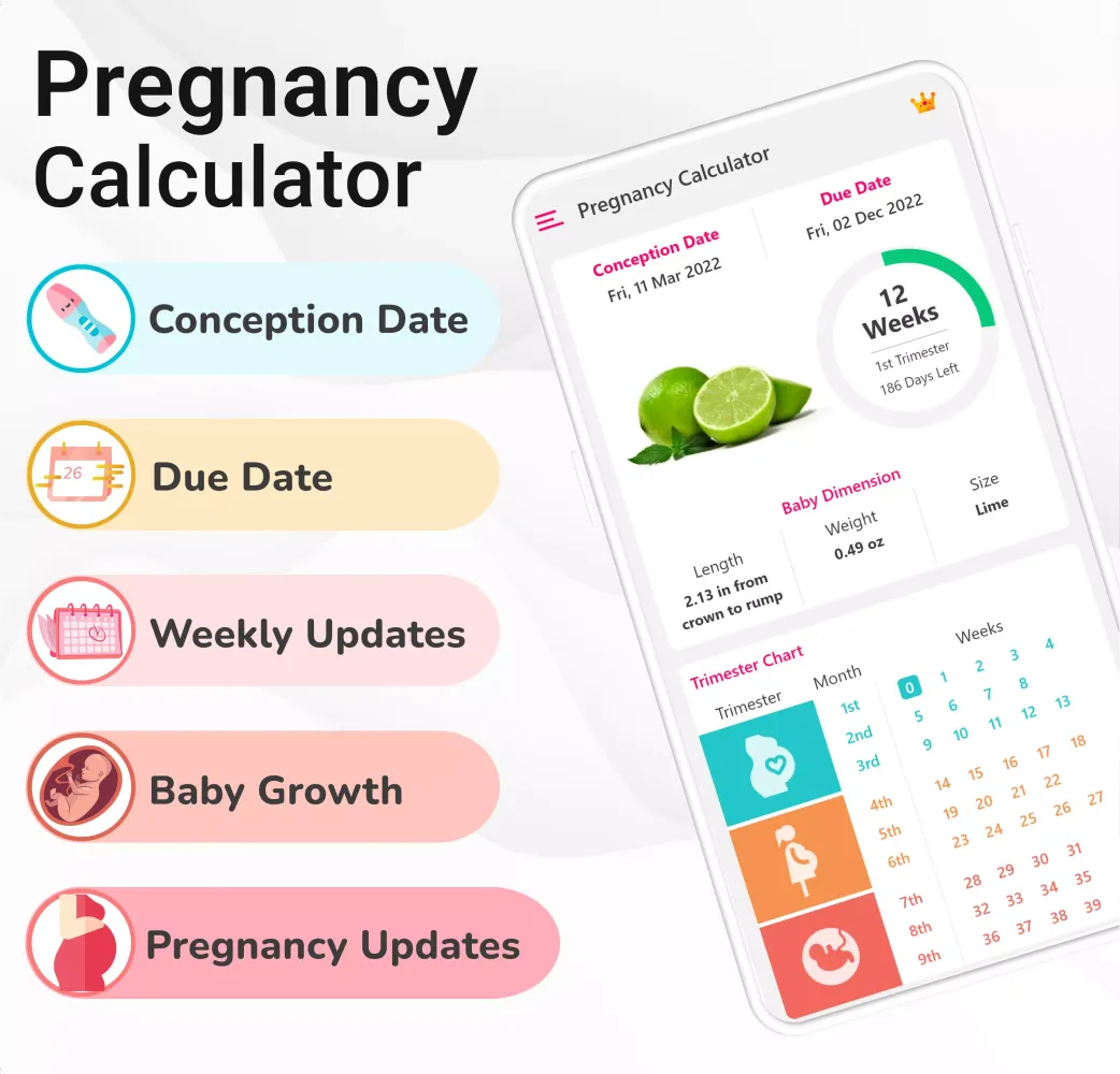 Tangkapan skrin Pregnancy Calculator: Due Date
