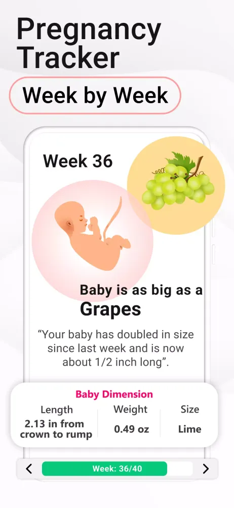 Tangkapan skrin Pregnancy Calculator: Due Date