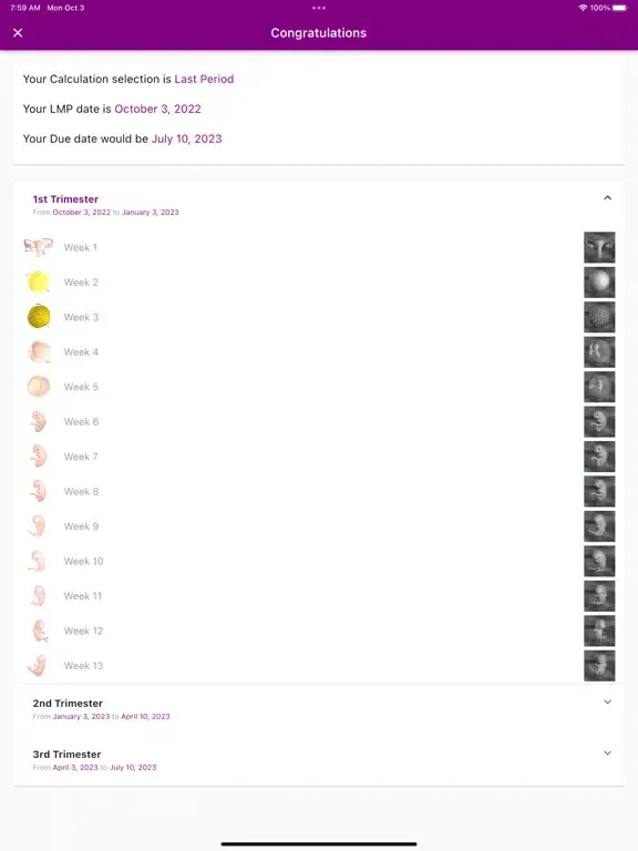 Pregnancy Due Date Calculators iPad 應用截圖