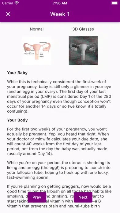 Pregnancy Due Date Calculators應用截圖