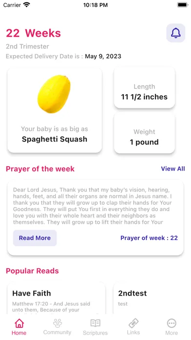Pregnancy Prayers App स्क्रीनशॉट