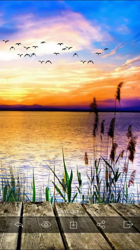 Wallpaper8 - 1,000,000+ stunningly beautiful Retina High Resolution wallpapers Screenshots