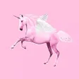 Unicorn Kitchen