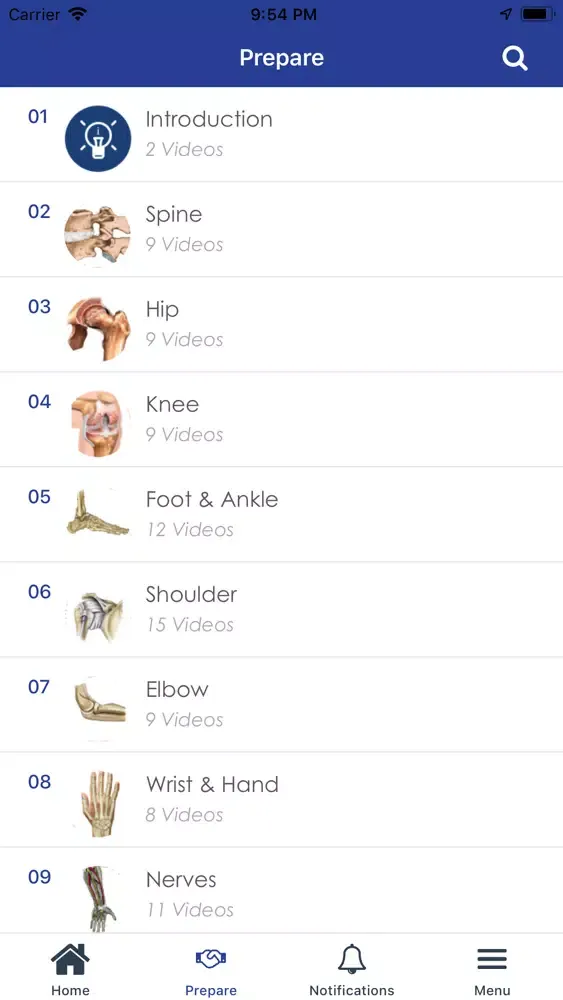 Capturas de pantalla de Conceptual Orthopedics