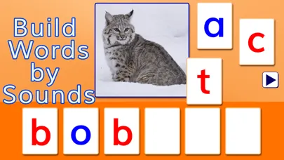 SPELLING MAGIC 3 for Schools Ekran Görüntüleri