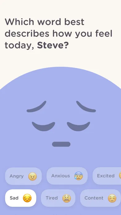 present - mindfulness journal Screenshots