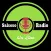 Salsoso Radio