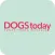 DOGStoday Magazin