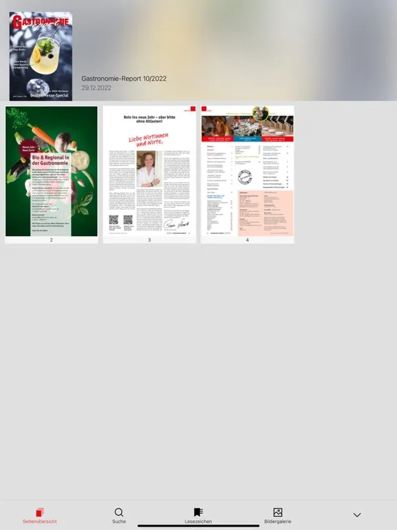 Скриншоты Gastronomie-Report iPad 