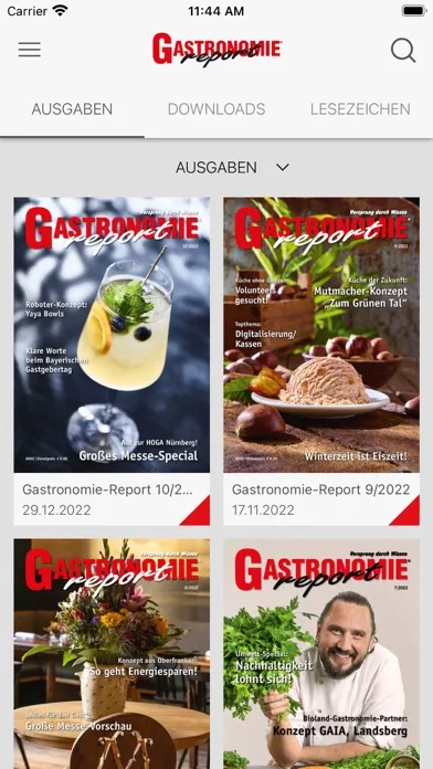 Скриншоты Gastronomie-Report