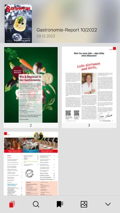 Скриншоты Gastronomie-Report