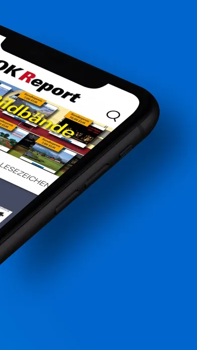 Скриншоты Lok Report