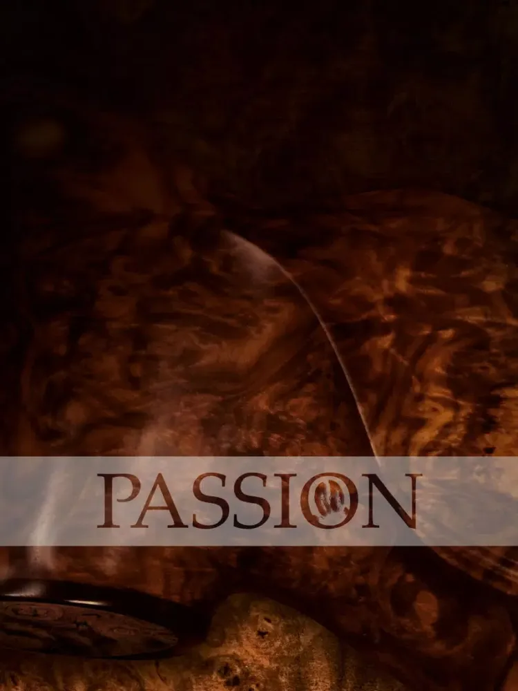 PASSION Magazin iPad  Ekran Görüntüleri