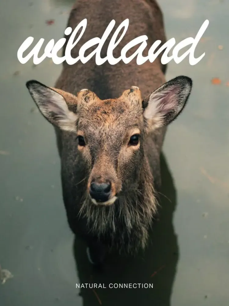 Capturas de tela do Wildland Magazine iPad 