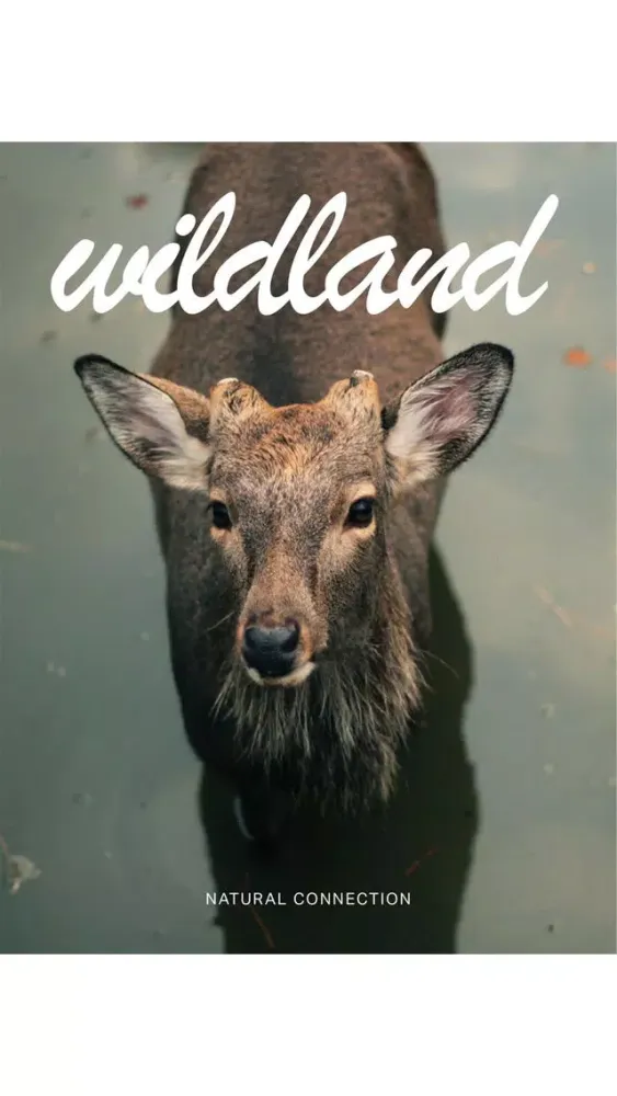 Capturas de tela do Wildland Magazine