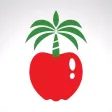 Teach Middle East